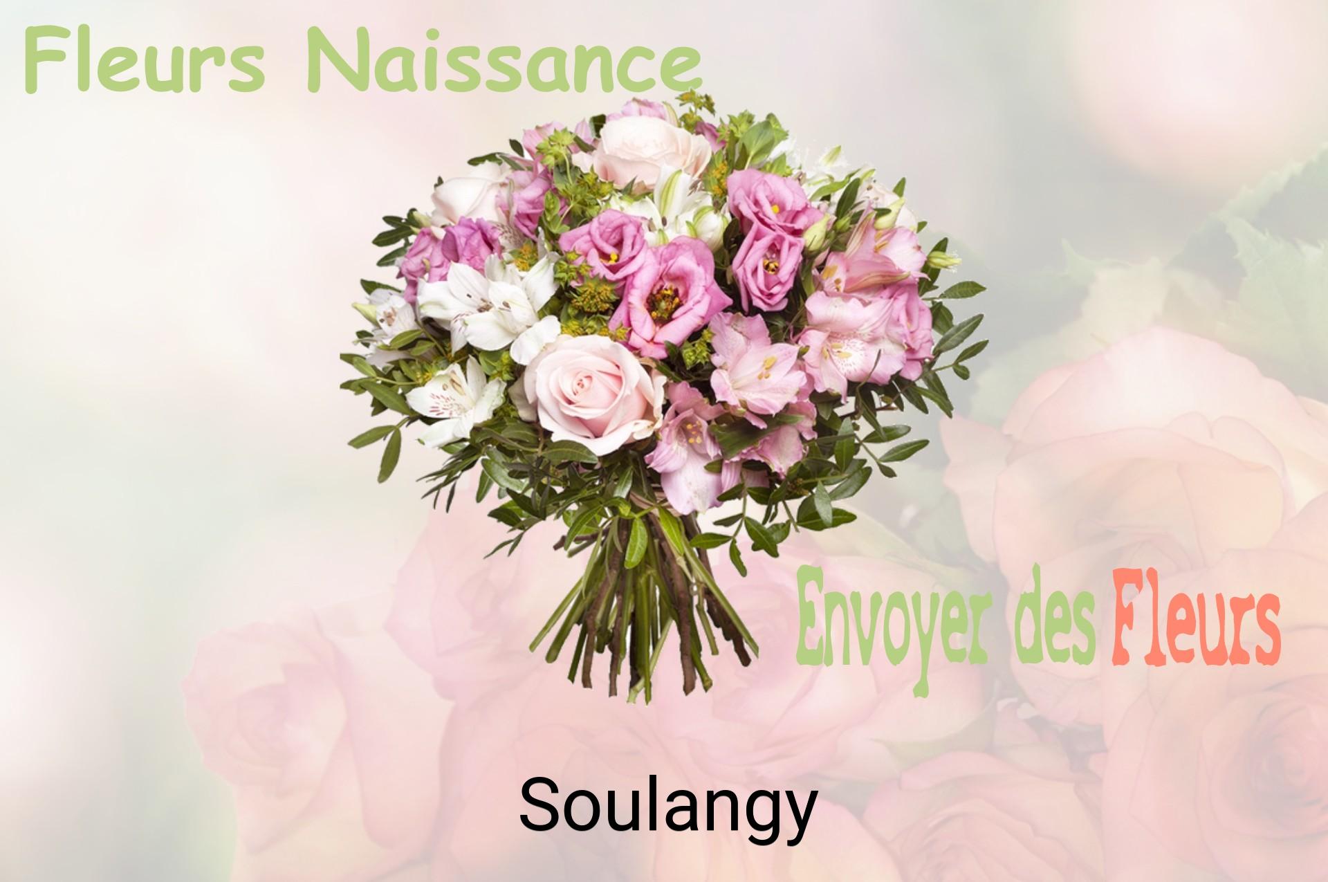 Bouquet de fleurs de naissance livré à Soulangy